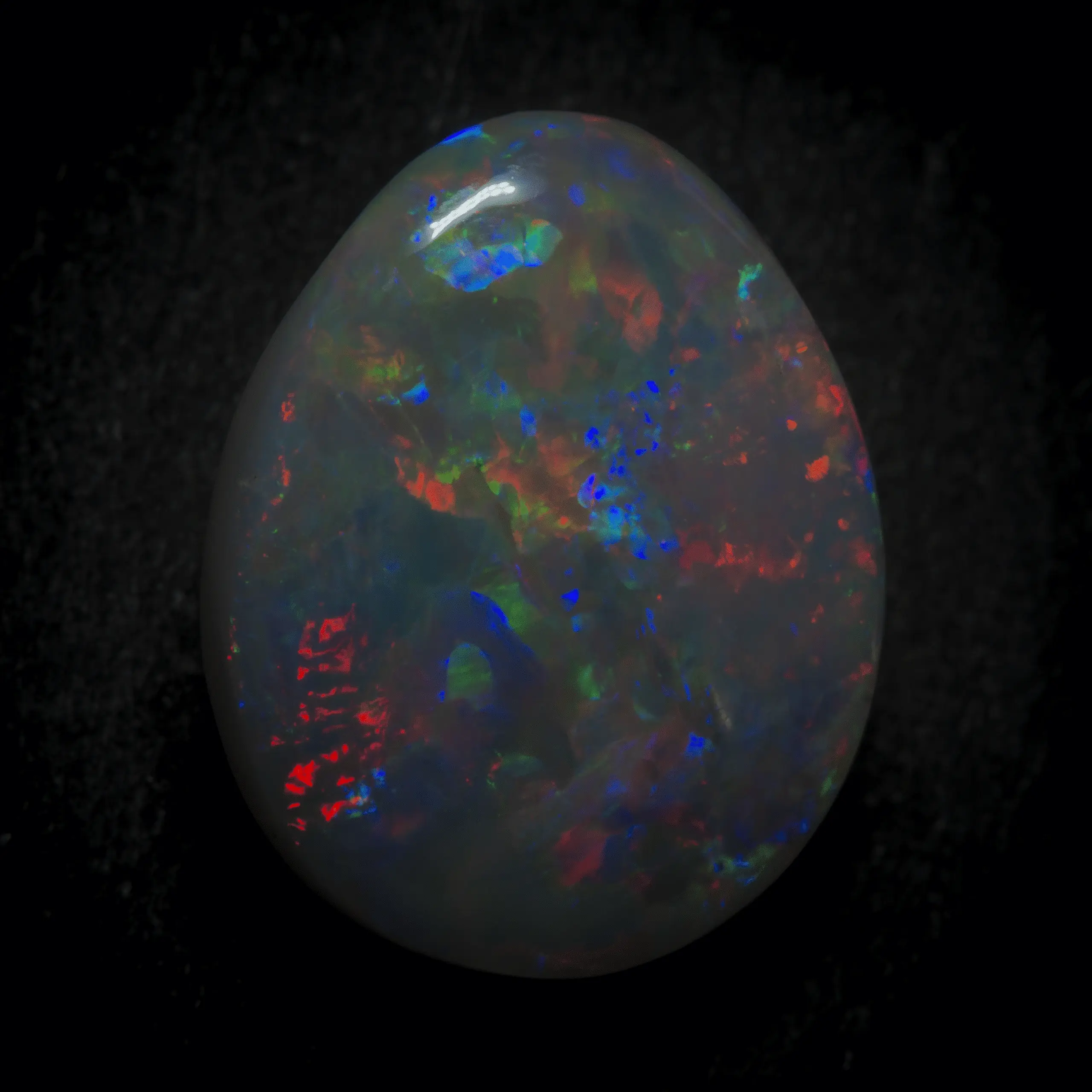 Opale naturelle australienne des mines de Lightning Ridge, larme sombre de 1,4 carats, polie sur une face, colorée sur toute sa surface et à diffractions dominantes rouges, bleues et vertes