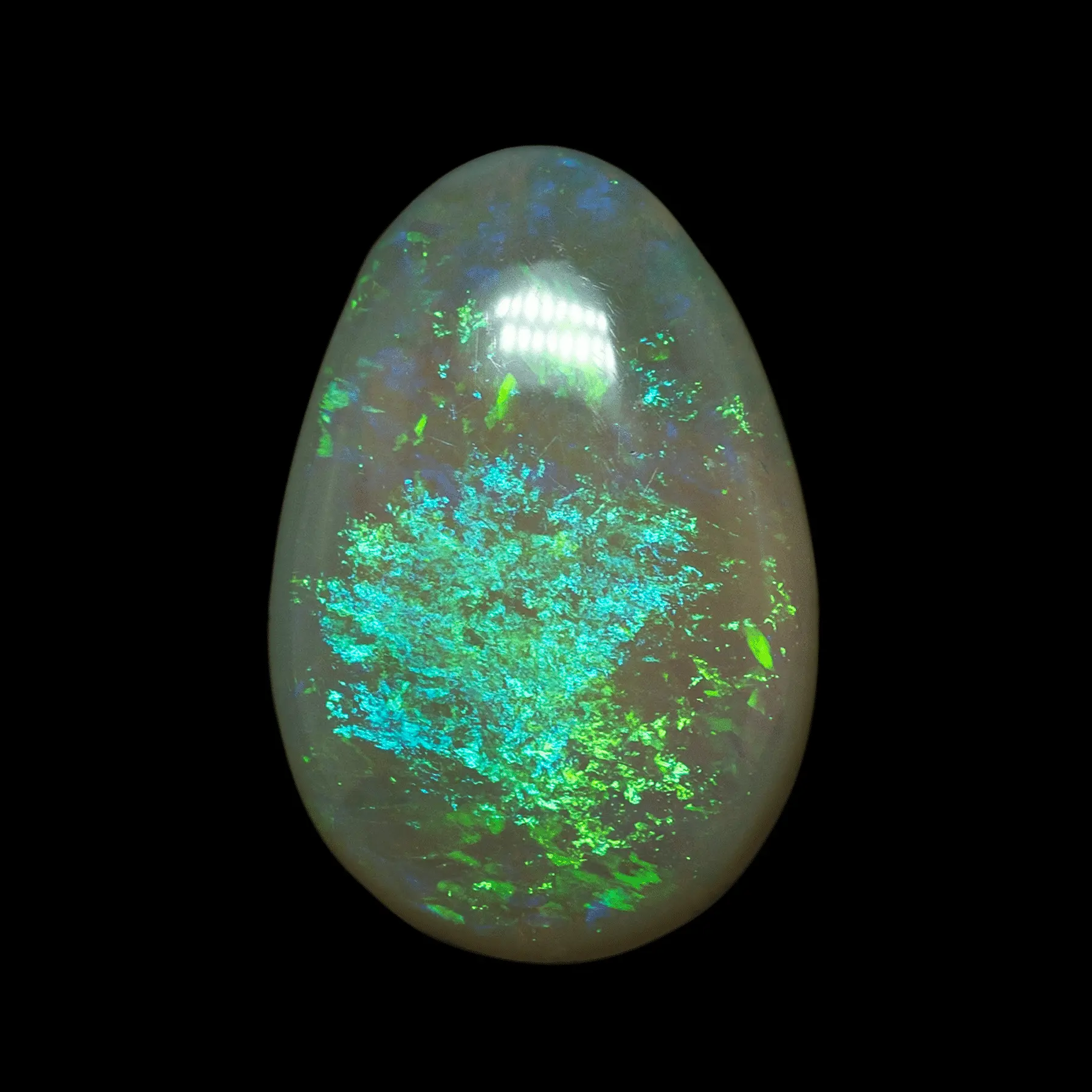Opale blanche brillante de Lightning Ridge à motif floral bleu, jaune et vert