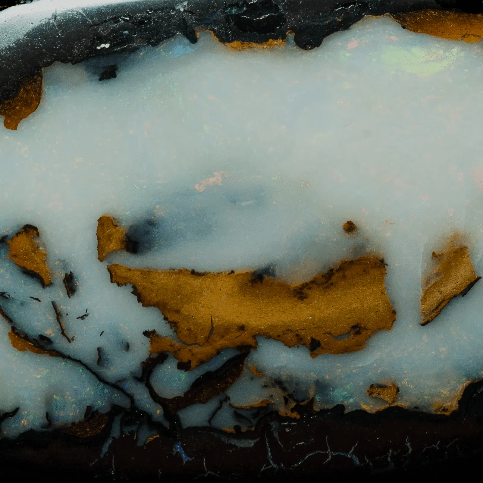 La noix d'opale koroit blanche (36,5 cts) – Image 3