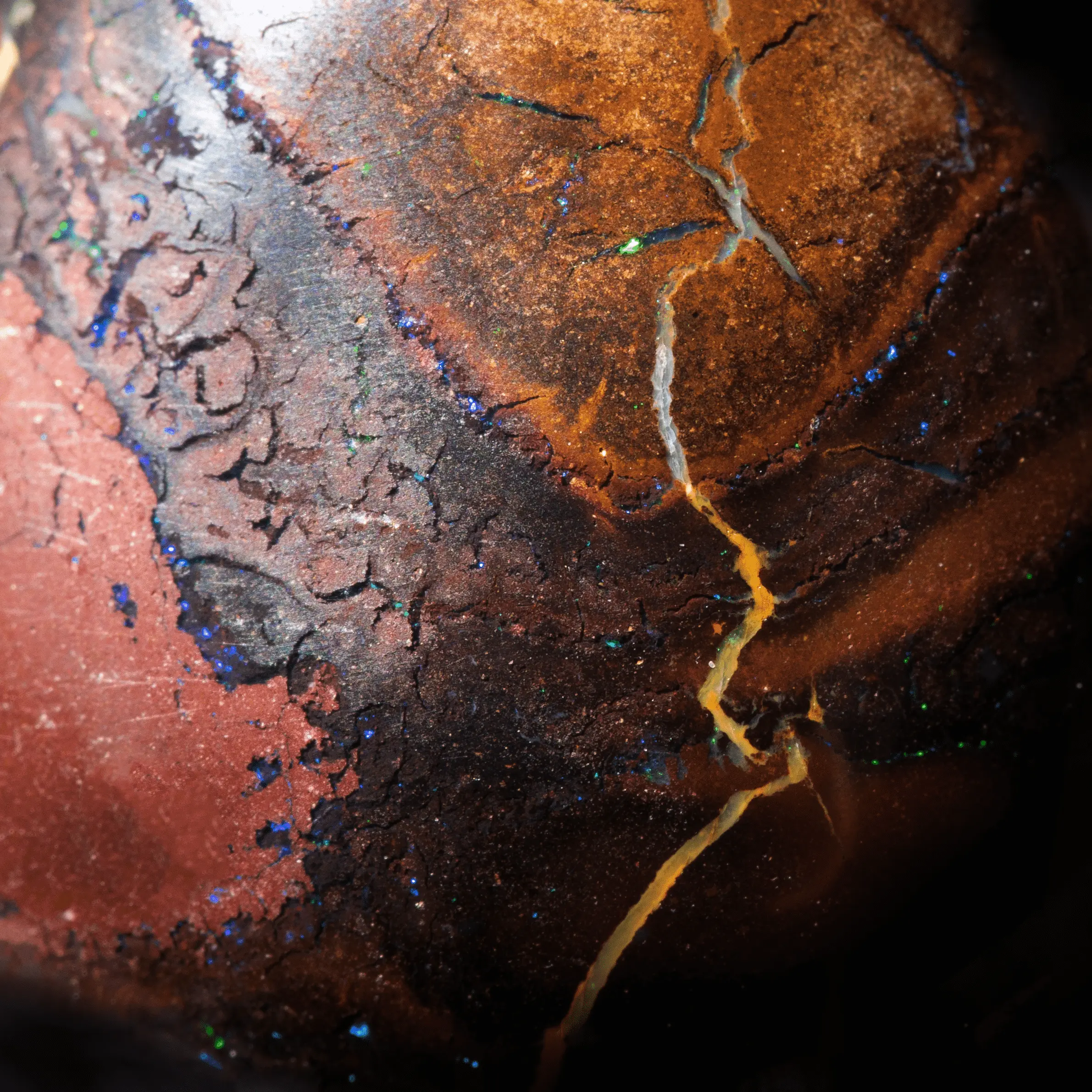 Two-tone Koroit opal pear with yellow zebra (25.4 cts) - Image 4