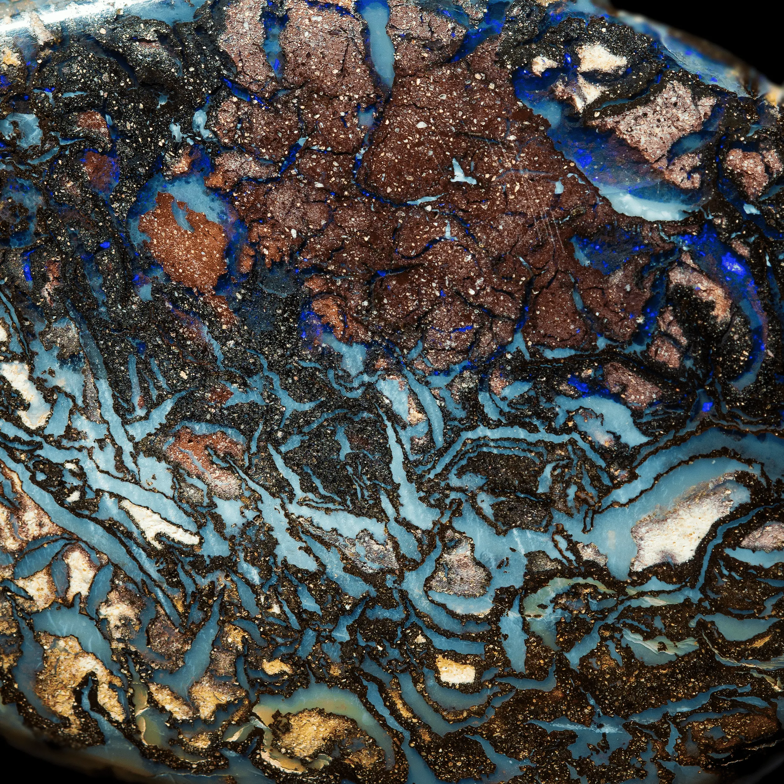 Koroit opal drop with mixed blues (36.2 cts) - Image 3