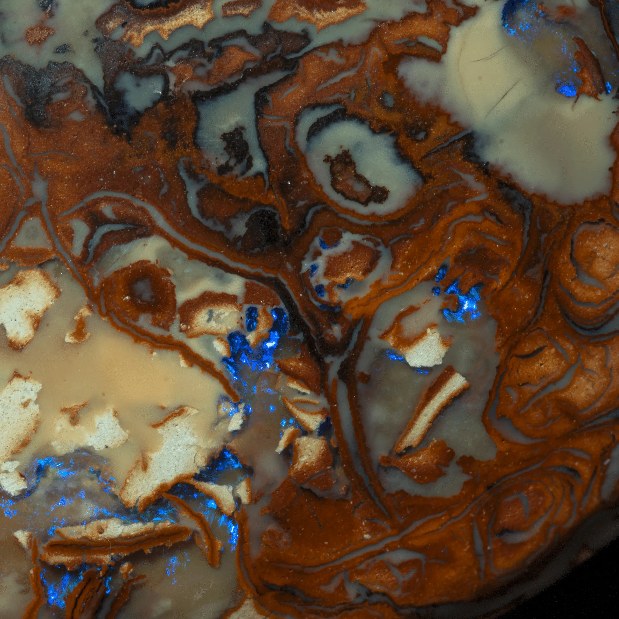 Koroit opal spindle with violet lustre (70.4 cts) - Image 4