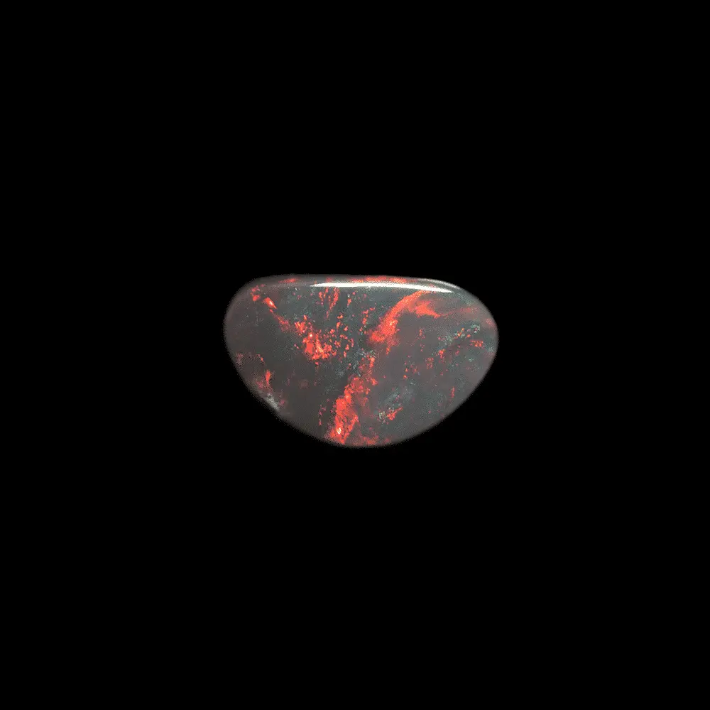 Opale naturelle australienne des mines de Lightning Ridge, fine forme libre de 0,7 carat, brillante, à nuances multiples de rouges profonds, d'orange et de vert