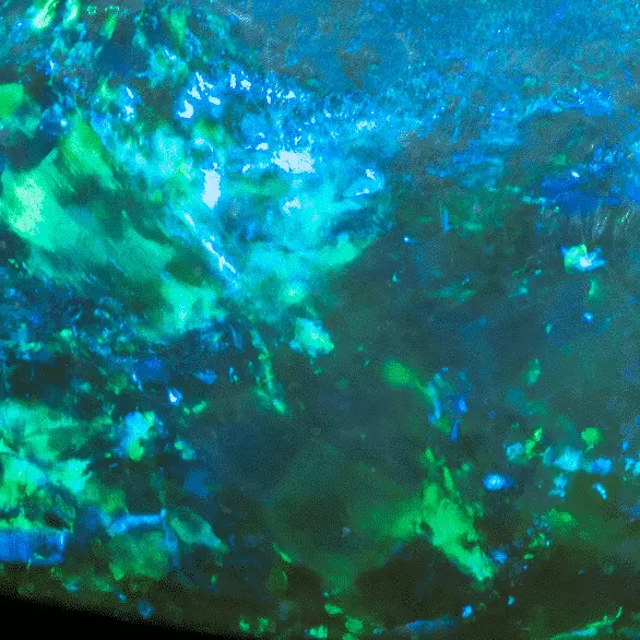 Blue-Green Black Opal Teardrop (6.36 cts) - Image 6