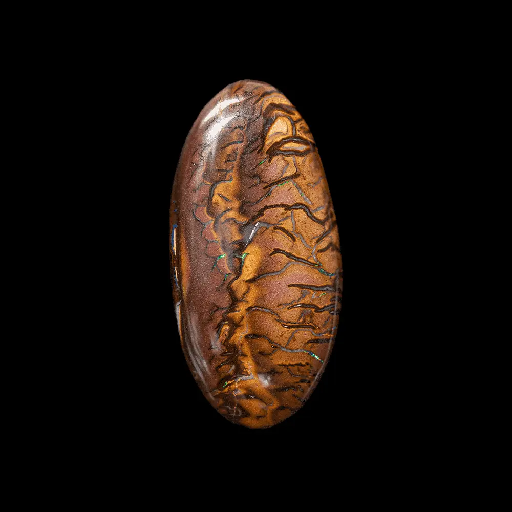 Tiger Koroit Opal (41.6 cts) - Image 3