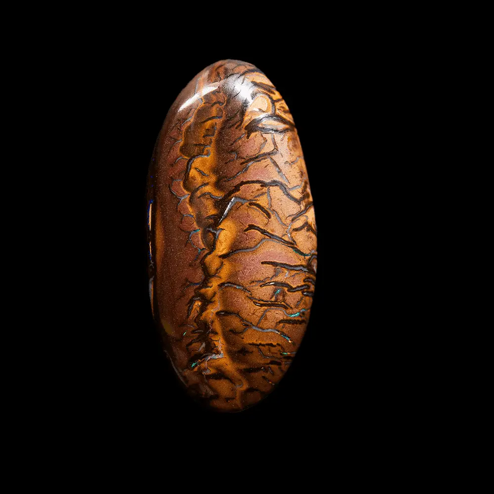 Tiger Koroit Opal (41.6 cts) - Image 4