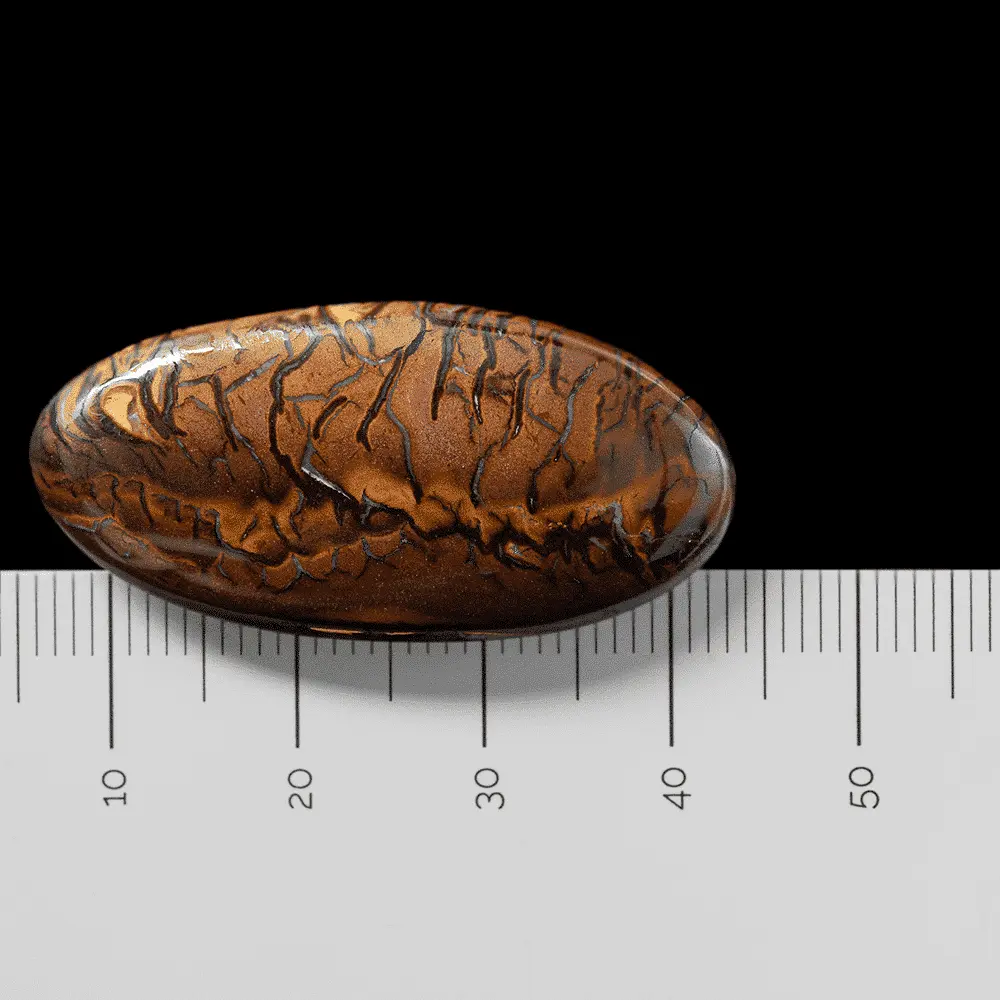 Tiger Koroit Opal (41.6 cts) - Image 7