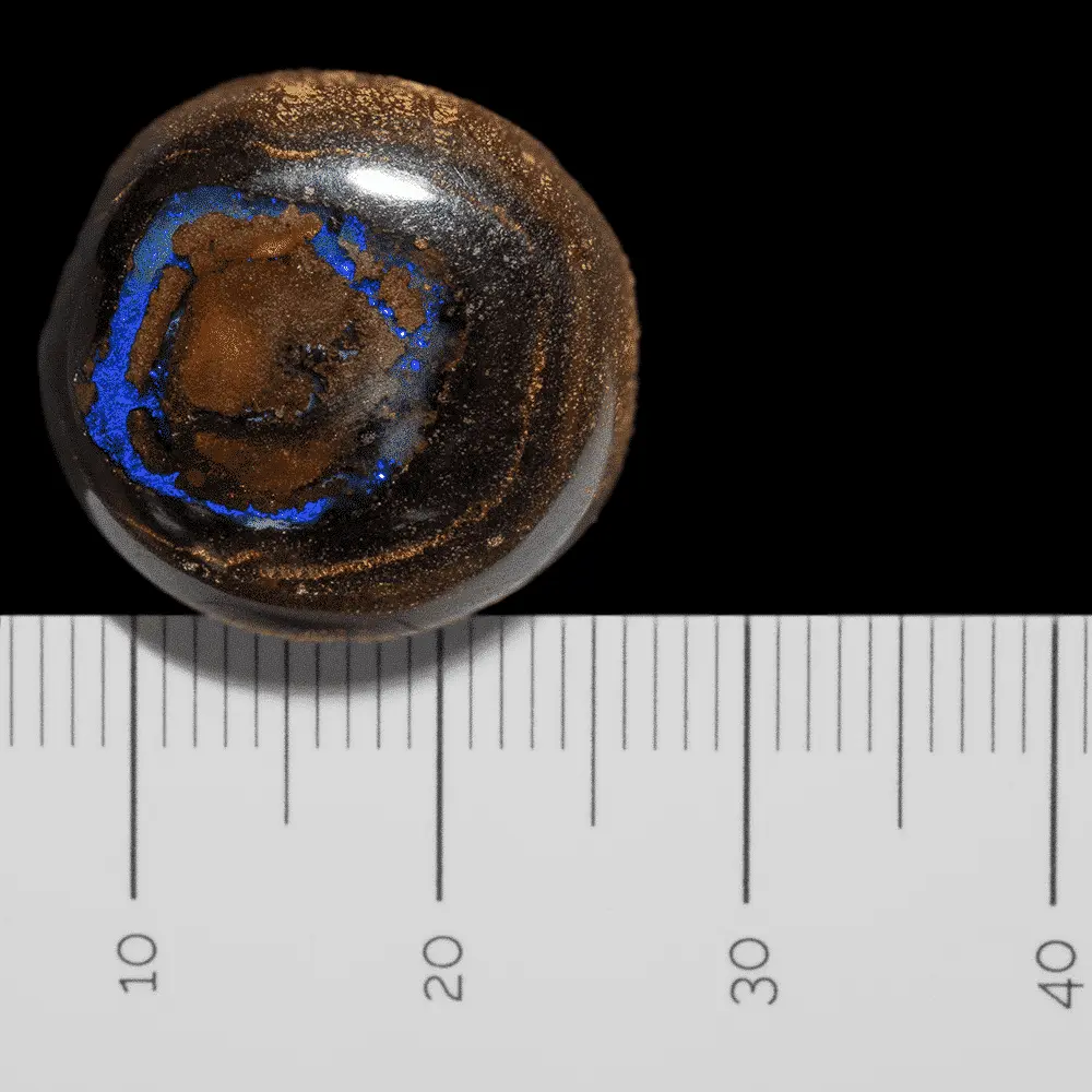 Oeil à cercle bleu d'opale Koroit (27,2 cts) – Image 6