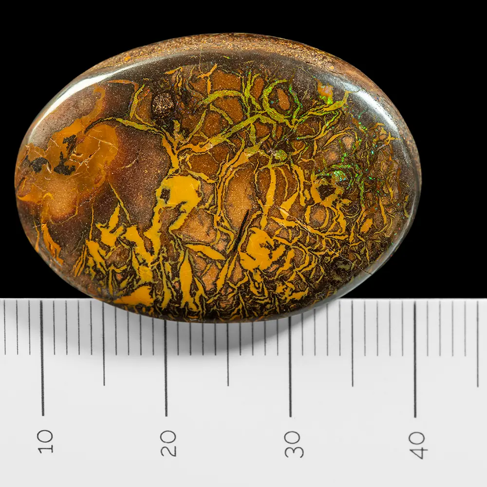 Koroit Opal with Coloured Intermingling (32.1 cts) - Image 7