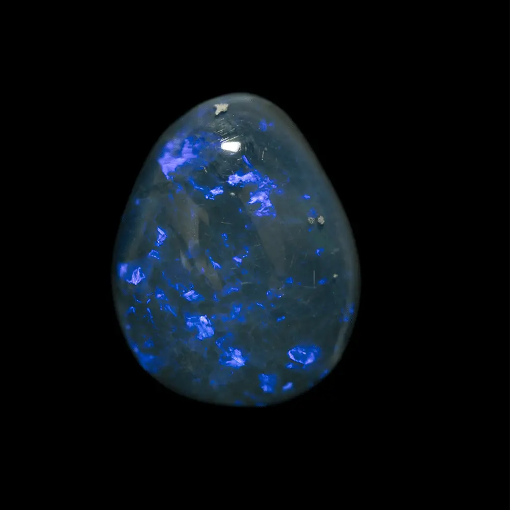 Opale naturelle australienne des mines de Lightning Ridge, forme de larme polie sur une face de 2,5 carats à matrice noire et éclats bleu-violets